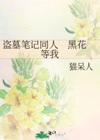 盜墓筆記同人 黑花 等我