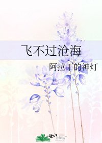 飞不过沧海