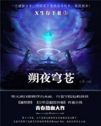 X生存手札·朔夜穹苍